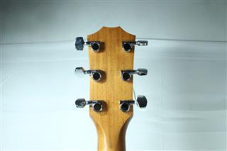 TAYLOR GUITARS 214CE DLX